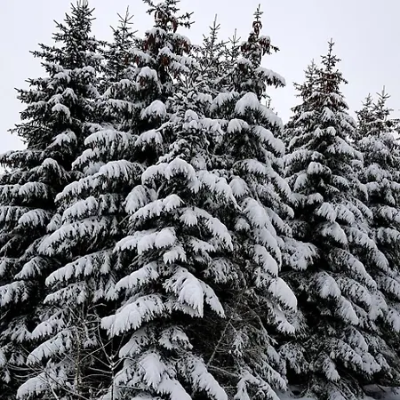 Citynest Und Auszeit - Zwei Ferienwohnungen, Ein Standort - Ideal Fuer Paare Und Familien Mit Kleinkind Apartman