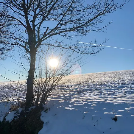 Apartman Citynest Und Auszeit - Zwei Ferienwohnungen, Ein Standort - Ideal Fuer Paare Und Familien Mit Kleinkind