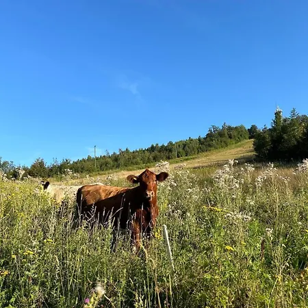Apartman Citynest Und Auszeit - Zwei Ferienwohnungen, Ein Standort - Ideal Fuer Paare Und Familien Mit Kleinkind