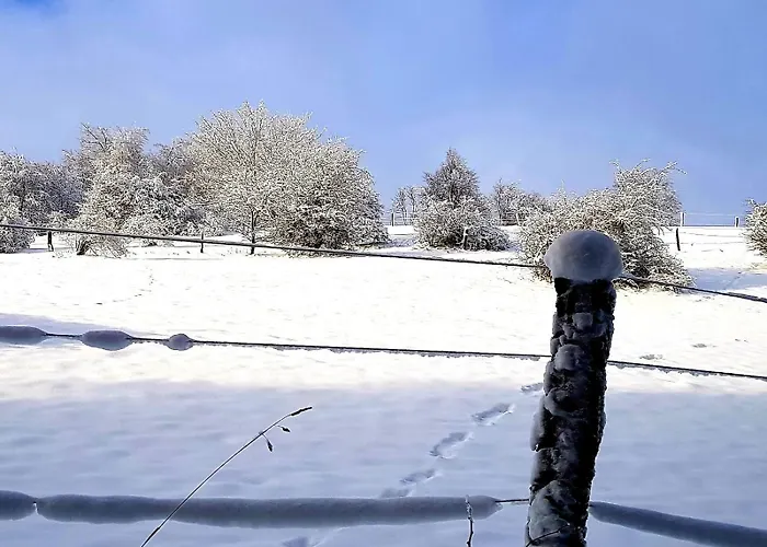 Citynest Und Auszeit - Zwei Ferienwohnungen, Ein Standort - Ideal Fuer Paare Und Familien Mit Kleinkind Apartman