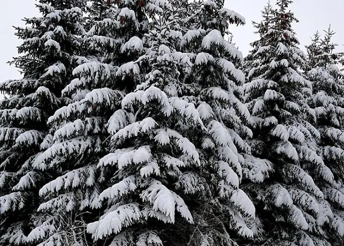 Citynest Und Auszeit - Zwei Ferienwohnungen, Ein Standort - Ideal Fuer Paare Und Familien Mit Kleinkind Apartamento