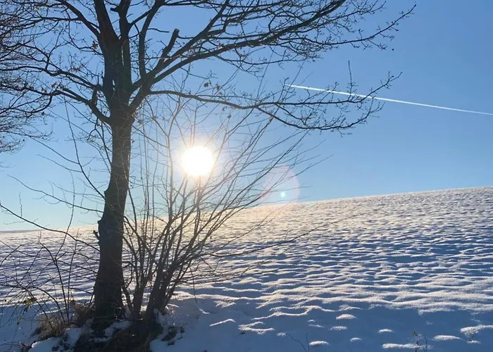 Apartman Citynest Und Auszeit - Zwei Ferienwohnungen, Ein Standort - Ideal Fuer Paare Und Familien Mit Kleinkind