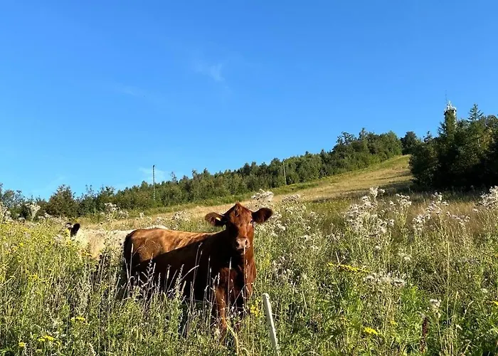 Apartamento Citynest Und Auszeit - Zwei Ferienwohnungen, Ein Standort - Ideal Fuer Paare Und Familien Mit Kleinkind